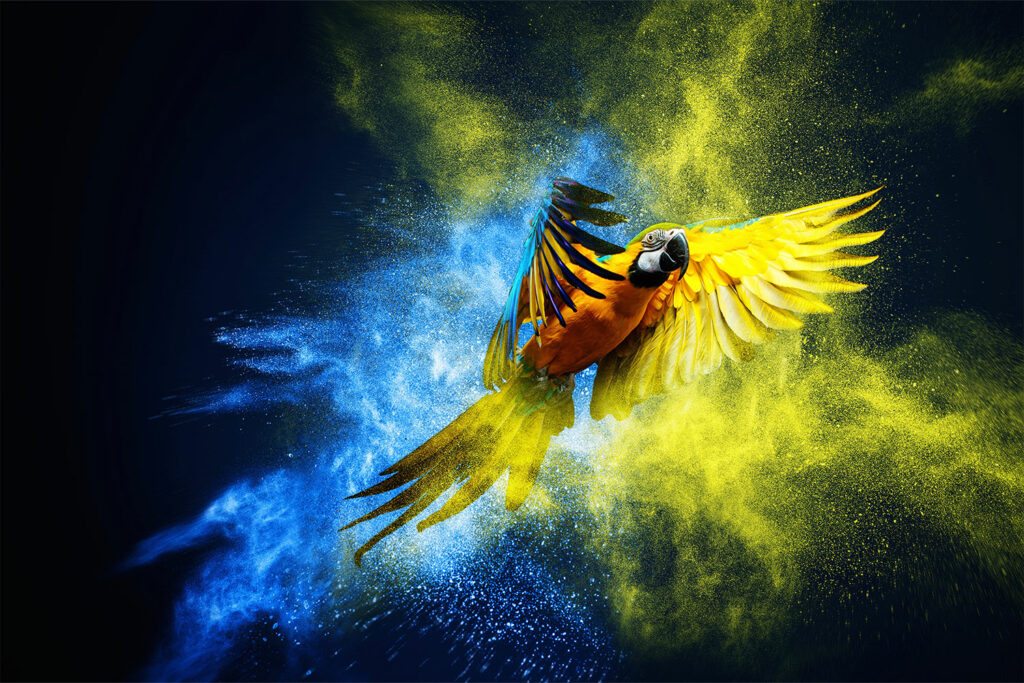 Motion Design Masterclass – Animationen & Visual Effects mit After Effects bei der Weiterbildungsagentur (WBA) Motion Design mit Adobe After Effects – Animationen professionell gestalten